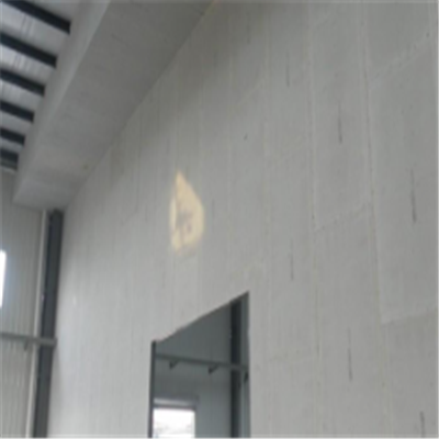 临江宁波ALC板|EPS加气板隔墙与混凝土整浇联接的实验研讨